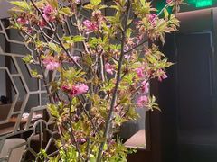 -山里亲戚(淞虹路店)