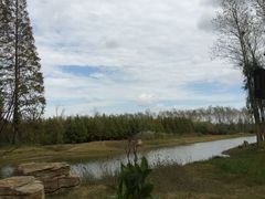 -黄海国家森林公园