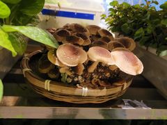-鲜货俚鲜火锅(青果路店)