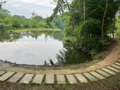 -桤木河湿地公园