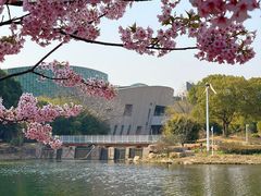 -新江湾城公园