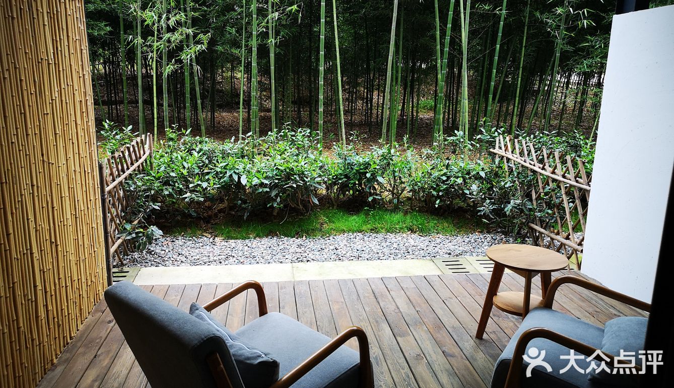 茶园发呆