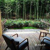 茶园发呆