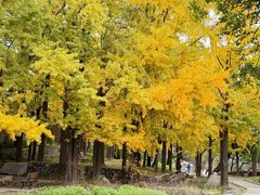 -阳台山自然风景区