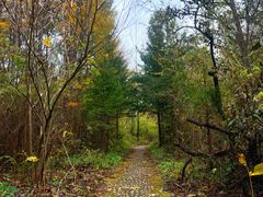 -三块石国家森林公园