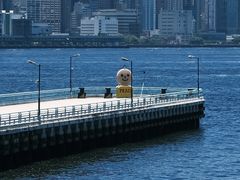 -海港城