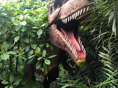 -呀路古热带植物园