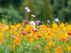 -贵阳市花溪国家城市湿地公园