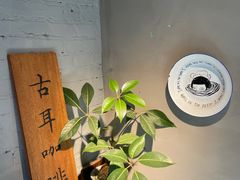 -古耳咖啡(北锣店)
