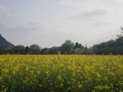 -贵阳市花溪国家城市湿地公园