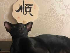 -Tegu泰古莲·泰国餐厅(红山6979店)