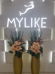 -深圳美莱医疗美容医院