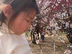 -蜀冈西峰生态公园