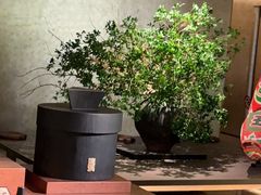 -隐溪茶馆(静安寺店)