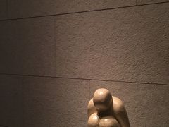 -上海柏悦酒店