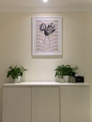 -SILKTONE诗丽堂美容