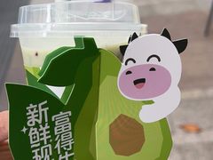 -一只酸奶牛(春熙路店)