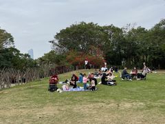 -深圳湾公园(南山区)