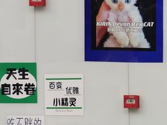 -十年猫舍·猫咪专门店(普陀店)