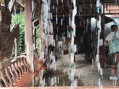 -呀路古热带植物园