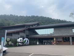 -都江堰中华大熊猫苑