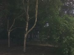 -吉林大学(南岭校区)