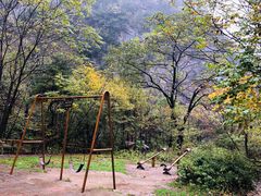 -青峰峡国家森林公园