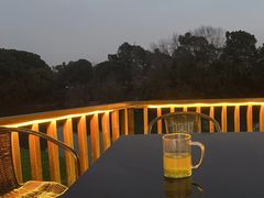 -张鸟园农家乐(张鸟园店)