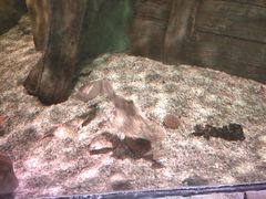 -沈阳海洋探索中心