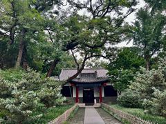 -蓬莱阁景区