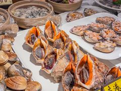-渔娘渔家丹东海鲜(东直门店)