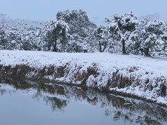 -武汉紫薇都市田园