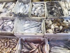 -芦潮港集贸市场