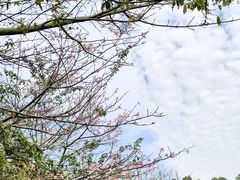 -广东金融学院(校本部)