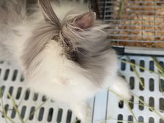 -小意思咖啡店(草桥店)