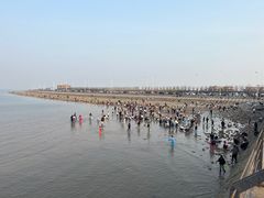 -东疆理想海岸沙滩景区