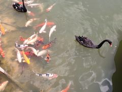 -东部华侨城