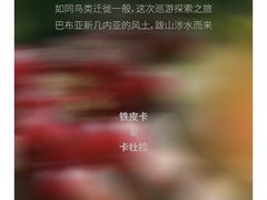 -Something For(鹏润达店)