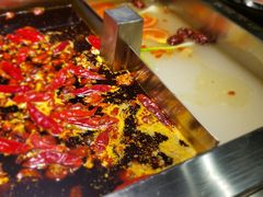 -二荆条·蜀鲜汇城市森林火锅