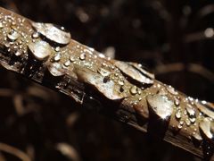 -叠溪松坪沟景区