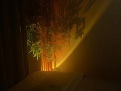 -宁采臣Sleep·采耳·SPA放松馆(湖里万达店)