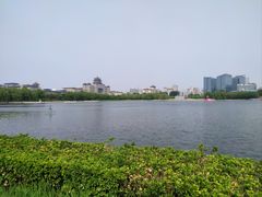 -莲花池公园