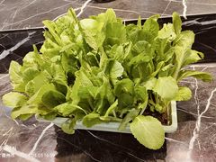 -老东家民间菜(迎宾路店)