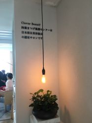 点击看大图 -Clover Beauty四葉美睫