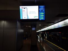 -上海科技馆(地铁站)