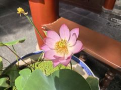 -万寿八仙宫