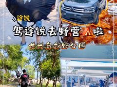 -上海长兴岛郊野公园