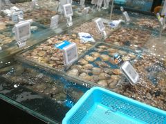 水产区-盒马鲜生(皇庭广场店)