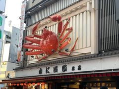 -蟹道乐(道顿堀本店)