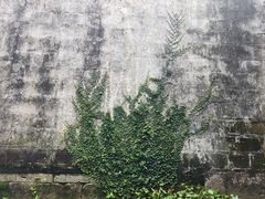 -宁波市保国寺古建筑博物馆